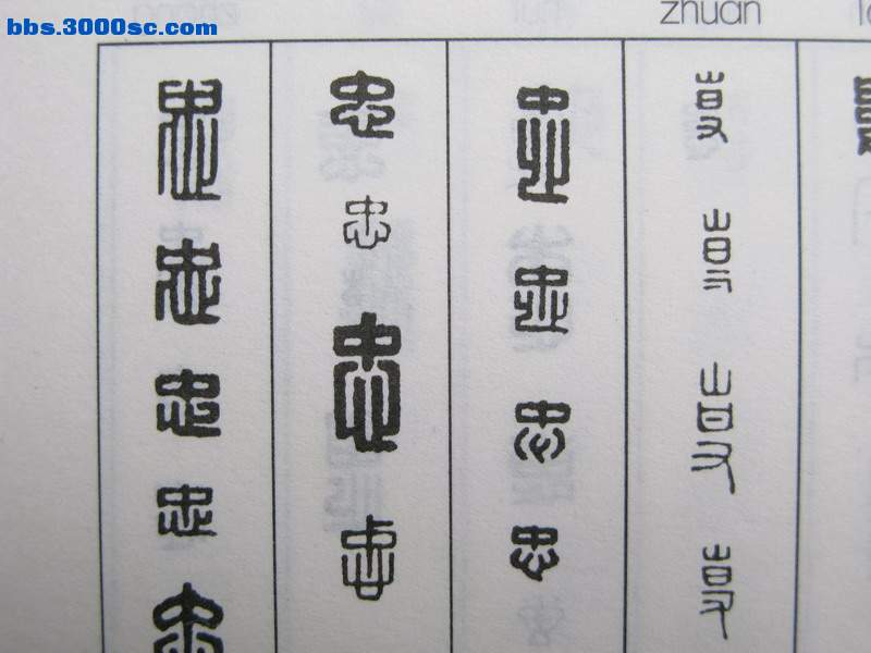 IMG_0718_调整大小.JPG