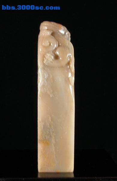 4.JPG