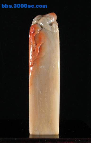 2.JPG