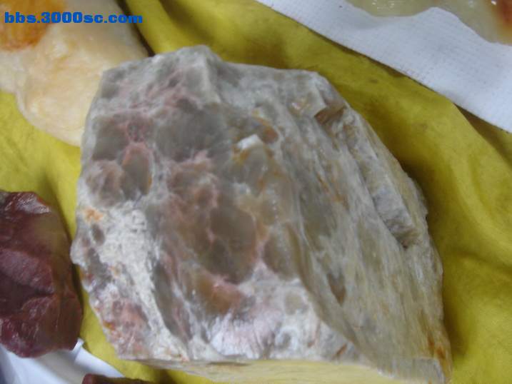 DSC04493_调整大小.JPG