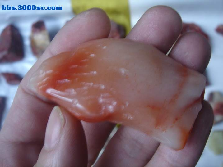 DSC04495_调整大小.JPG