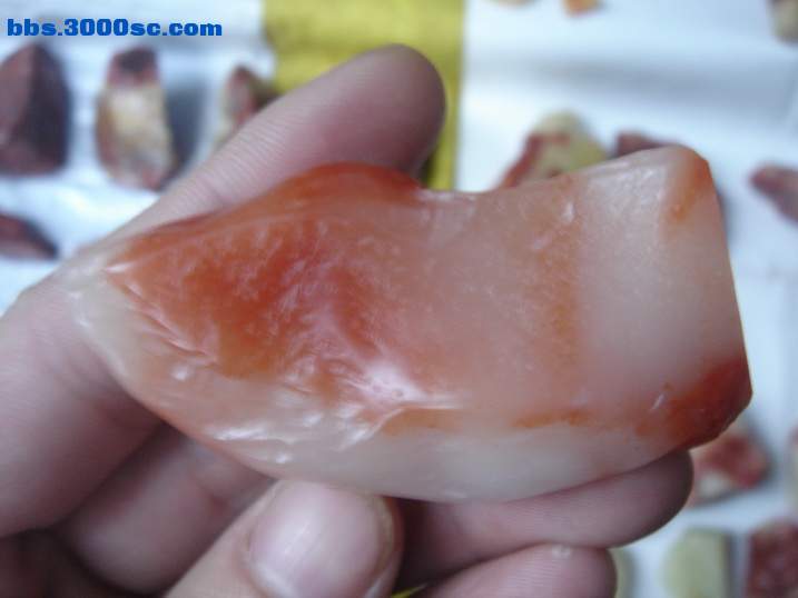 DSC04494_调整大小.JPG