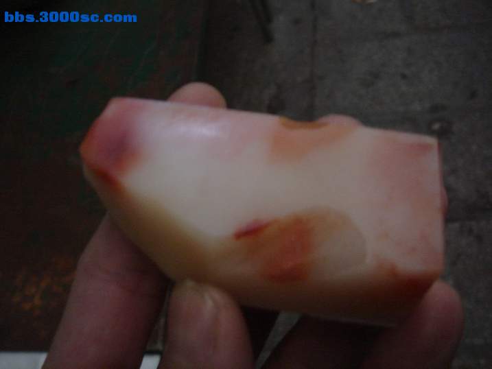 DSC04502_调整大小.JPG