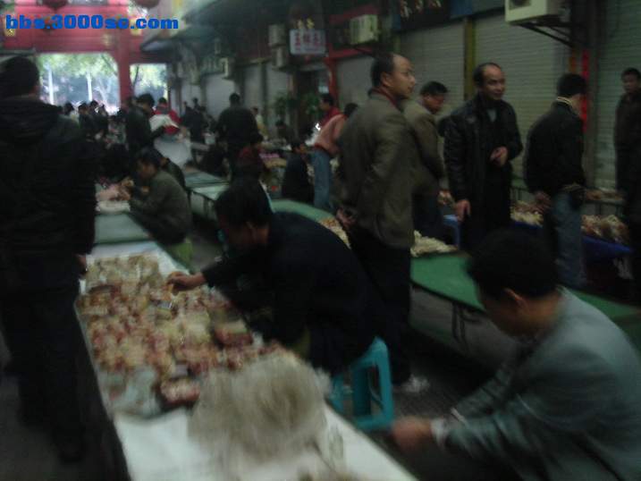 DSC04501_调整大小.JPG