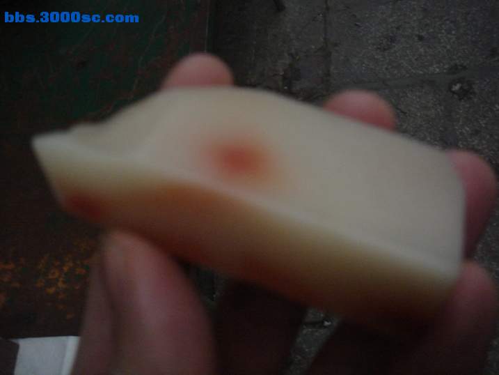 DSC04503_调整大小.JPG