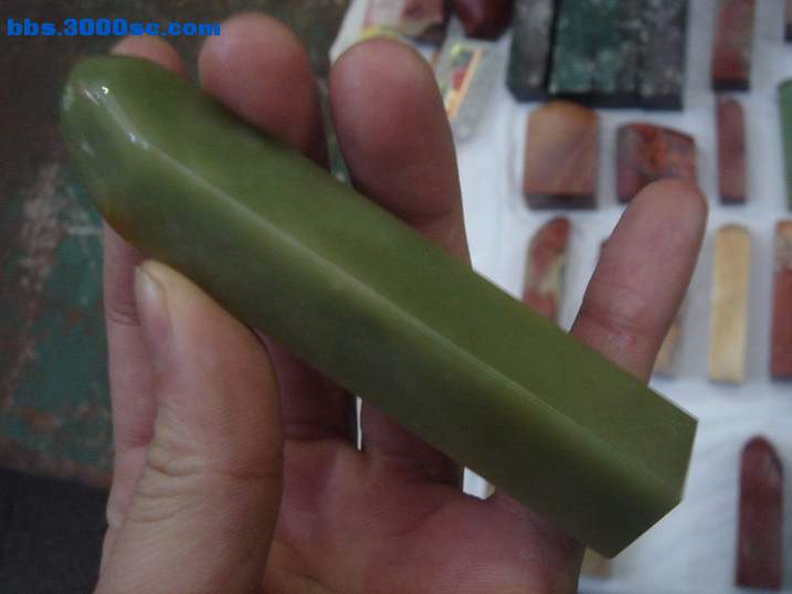 DSC04505_调整大小.JPG