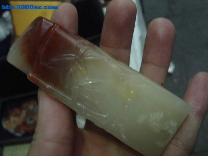 DSC04506_调整大小.JPG
