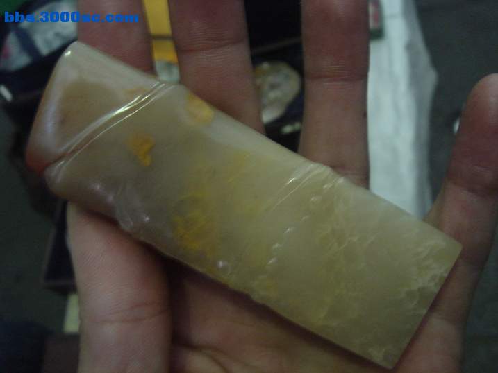 DSC04507_调整大小.JPG