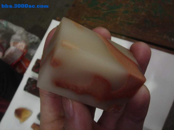DSC04511_调整大小.JPG