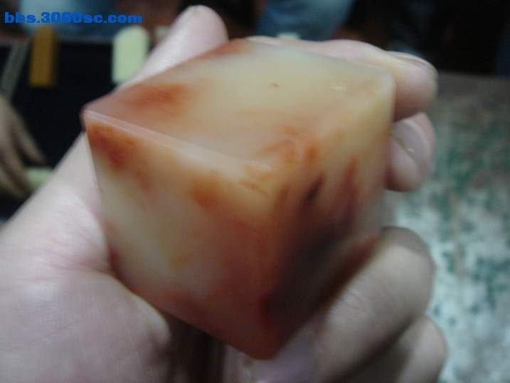 DSC04517_调整大小.JPG