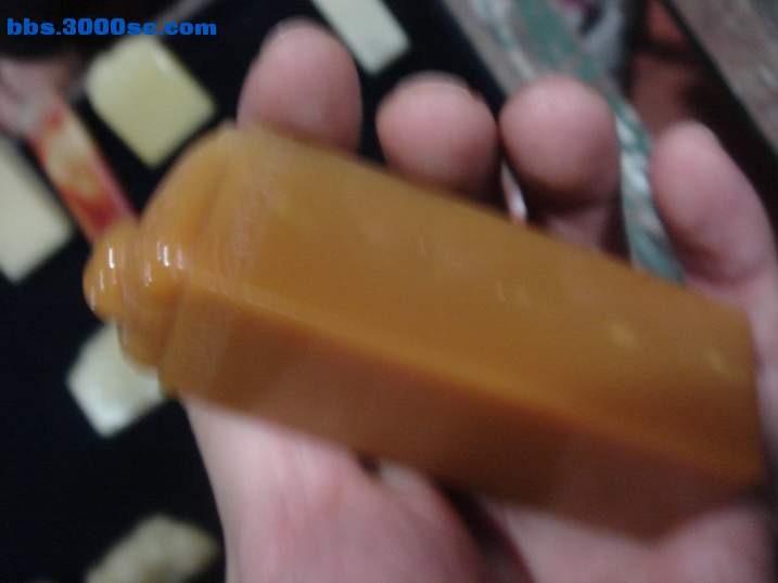 DSC04519_调整大小.JPG