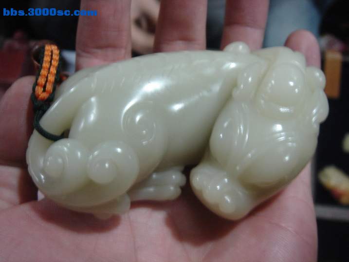 DSC04526_调整大小.JPG