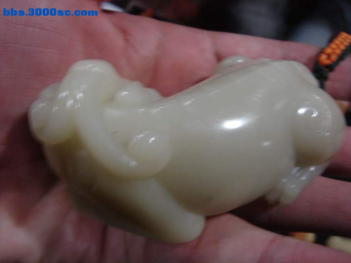 DSC04527_调整大小.JPG