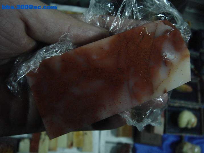 DSC04533_调整大小.JPG