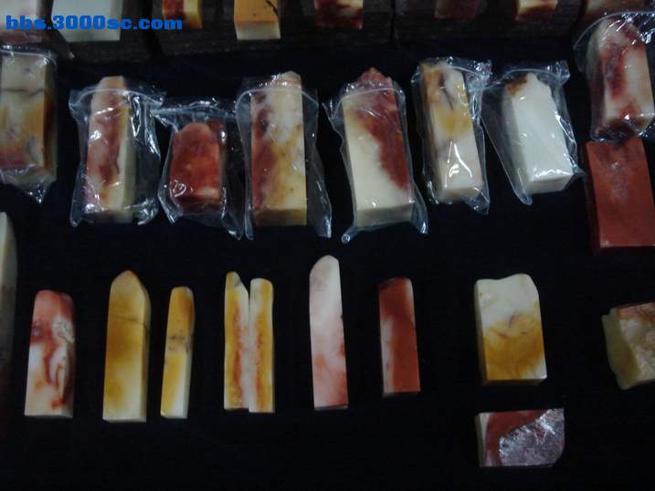 DSC04535_调整大小.JPG
