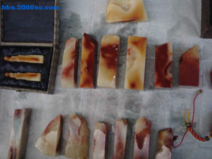 DSC04545_调整大小.JPG
