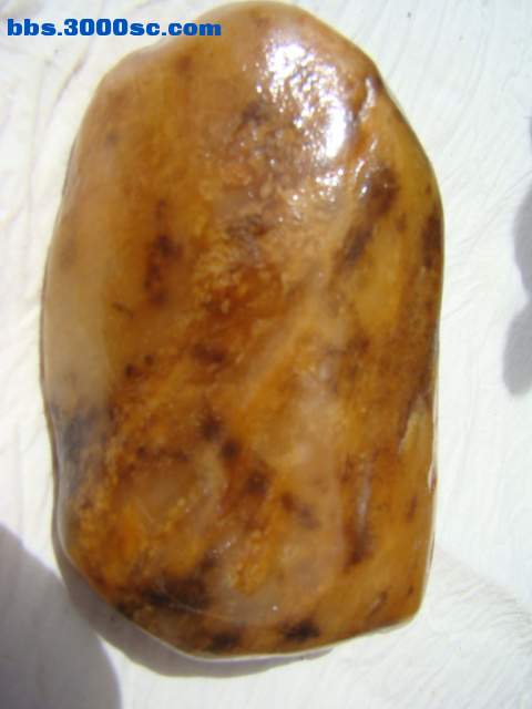 DSC02935.JPG