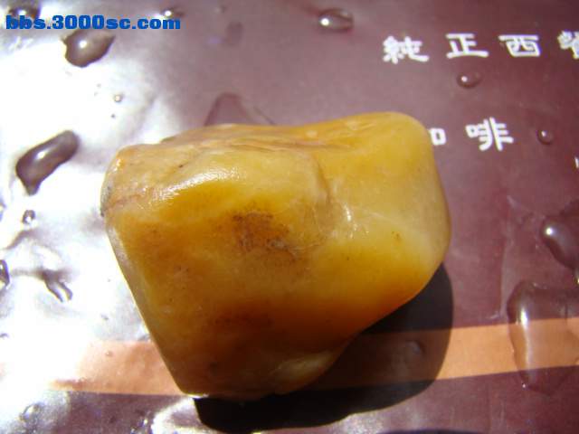 DSC02947.JPG