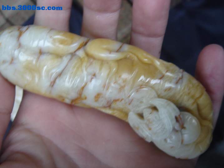 DSC04591_调整大小.JPG