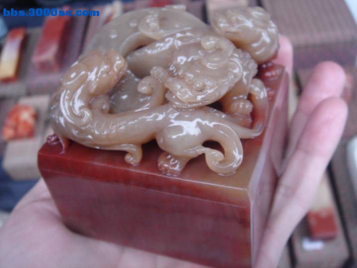 DSC04595_调整大小.JPG