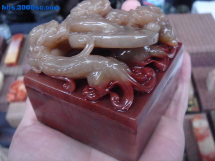 DSC04597_调整大小.JPG
