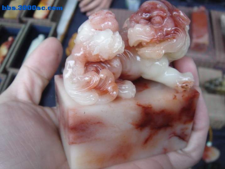 DSC04600_调整大小.JPG