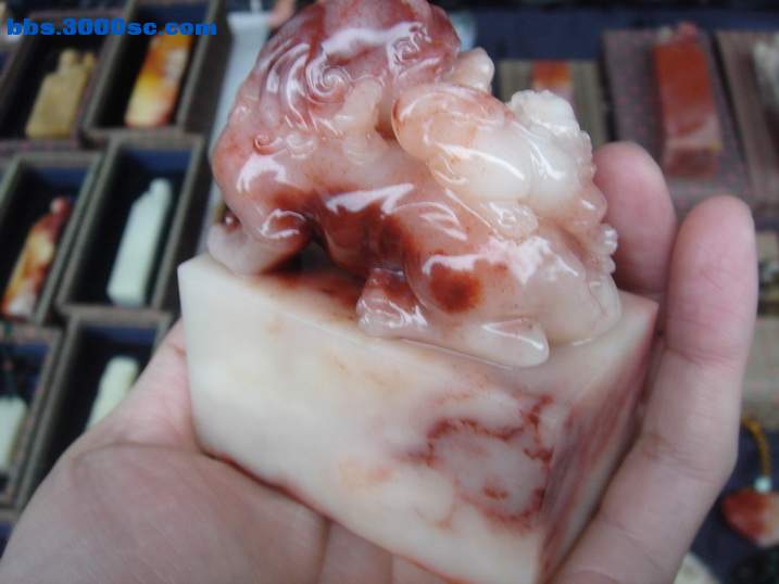 DSC04601_调整大小.JPG