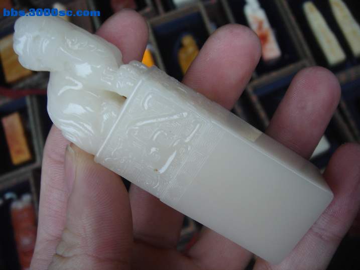 DSC04602_调整大小.JPG