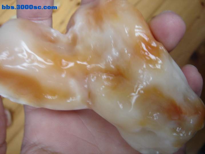 DSC04612_调整大小.JPG