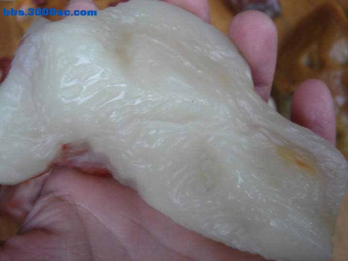DSC04616_调整大小.JPG