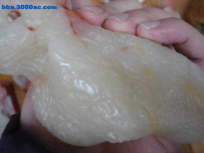 DSC04617_调整大小.JPG