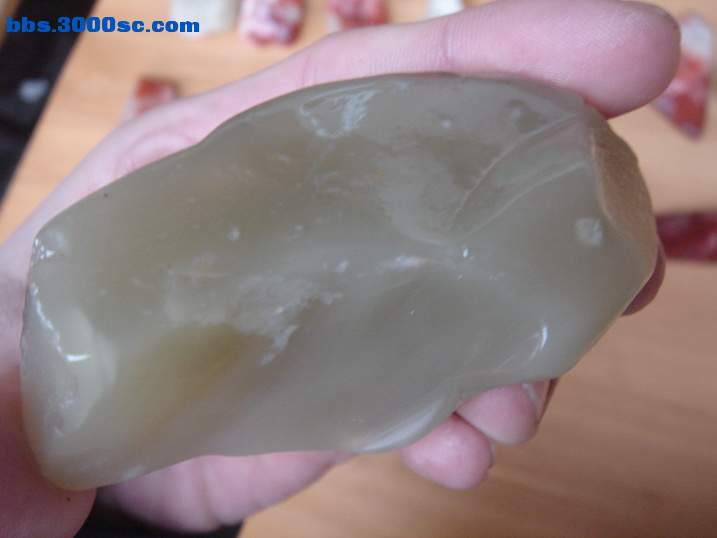 DSC04618_调整大小.JPG