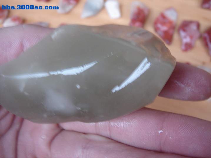 DSC04619_调整大小.JPG