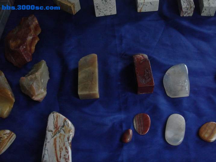DSC04622_调整大小.JPG
