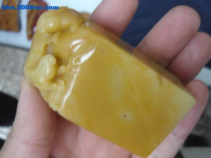 DSC04623_调整大小.JPG