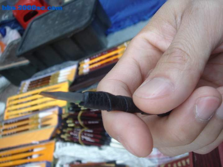 DSC04629_调整大小.JPG