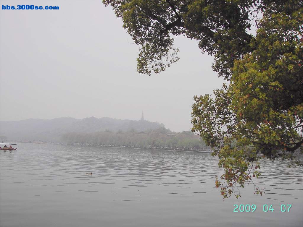 白堤上的桃花和杨柳 004.jpg