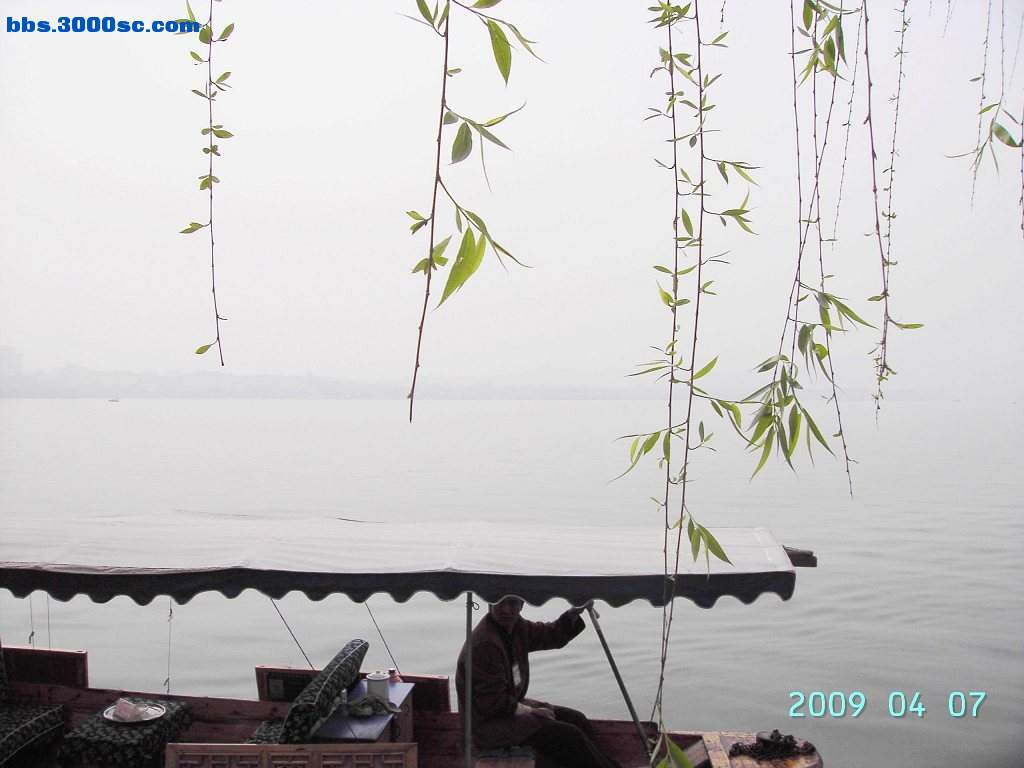 白堤上的桃花和杨柳 008.jpg