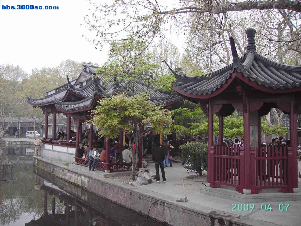 白堤上的桃花和杨柳 012.jpg