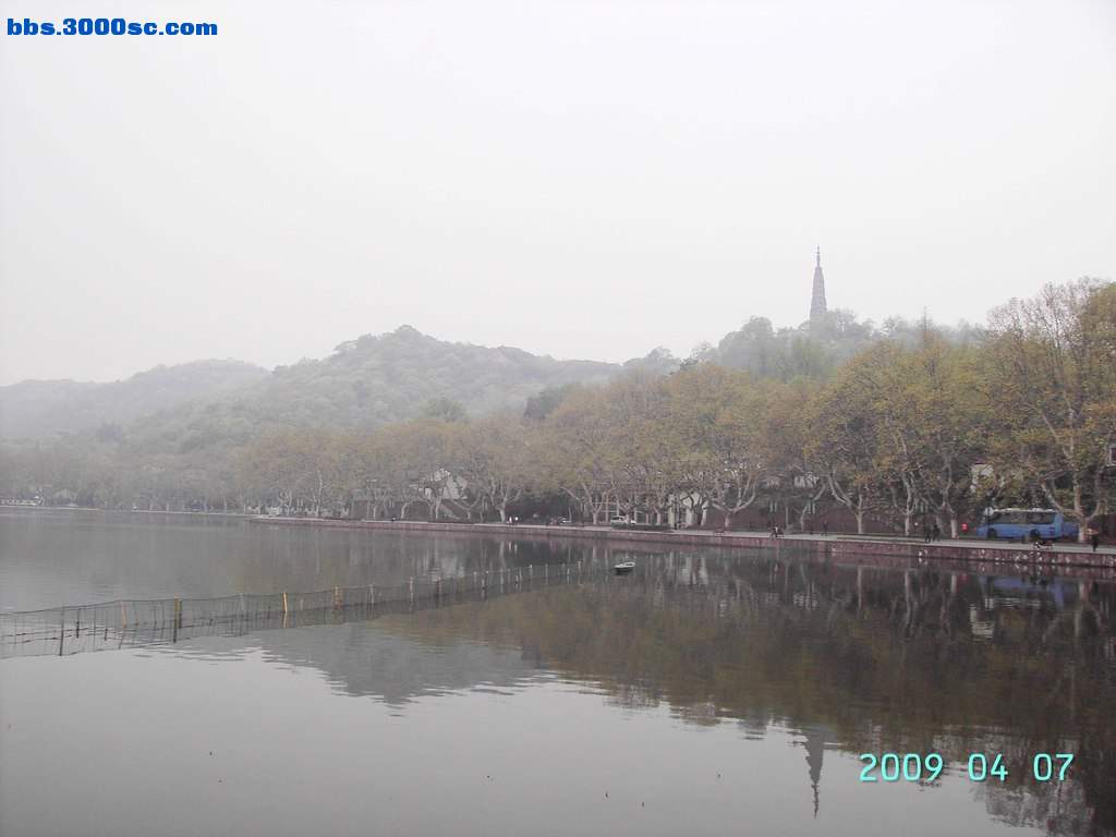 白堤上的桃花和杨柳 013.jpg