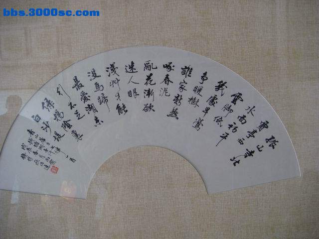 DSC02530.JPG