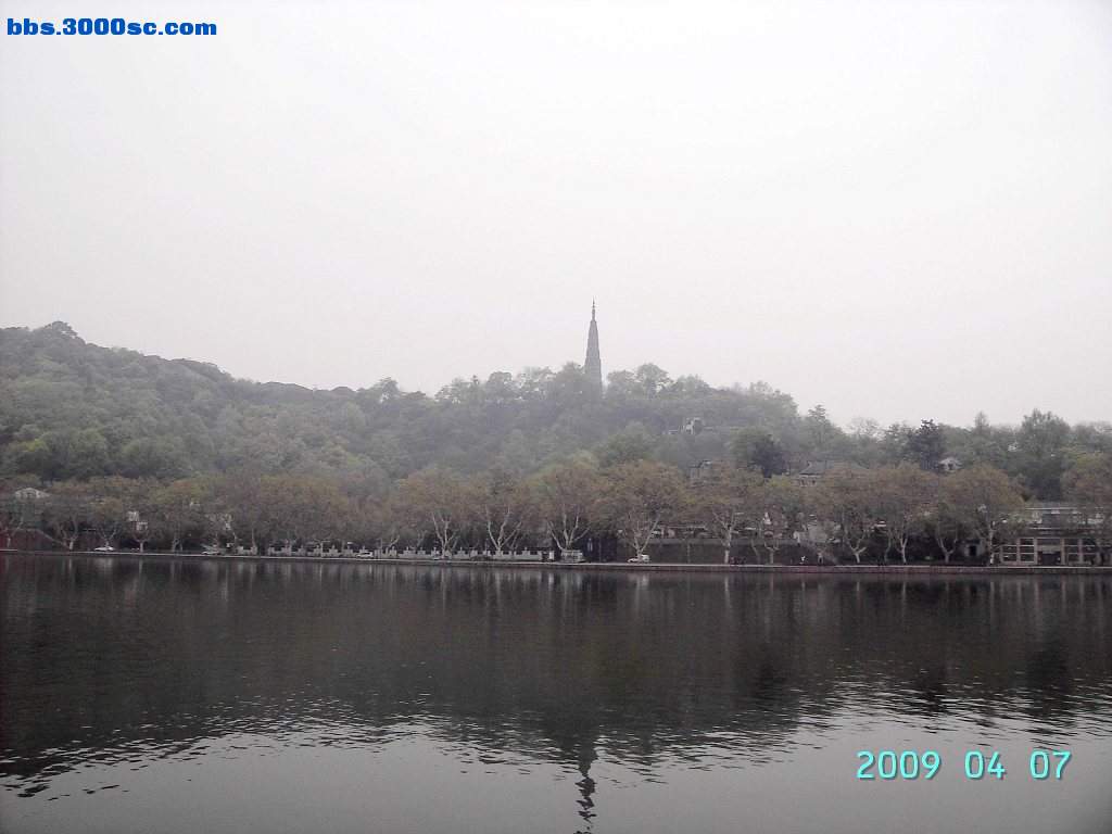 白堤上的桃花和杨柳 027.jpg