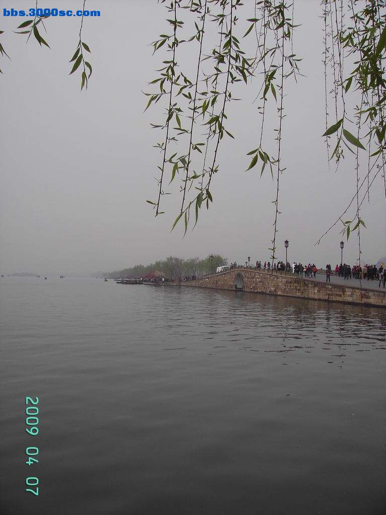 旋转 白堤上的桃花和杨柳 006.jpg