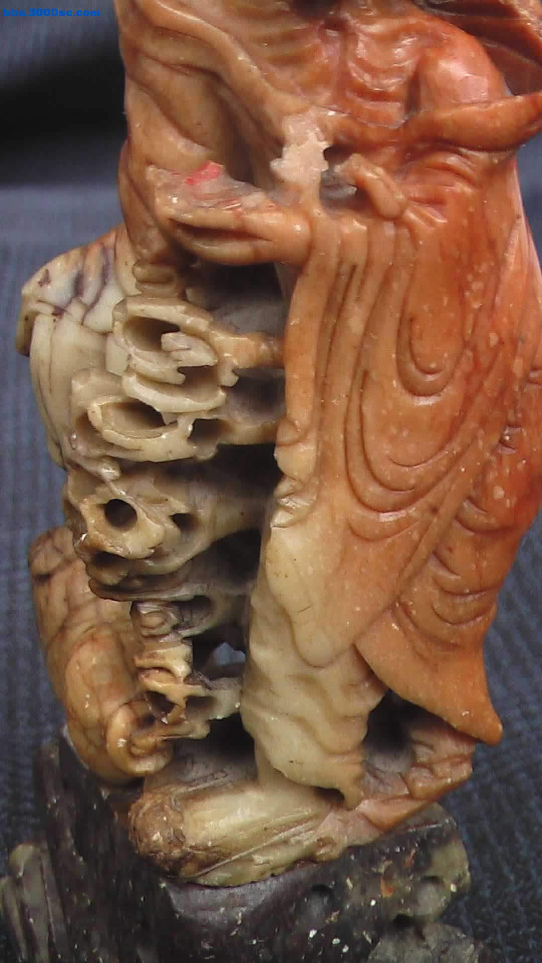 IMGA0304.jpg