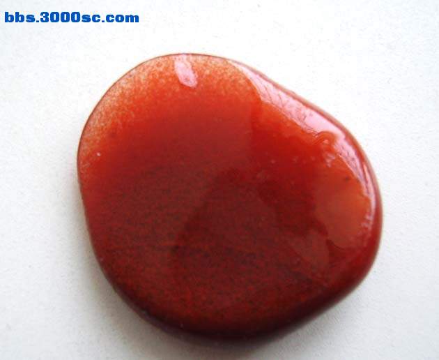PICT7307.jpg