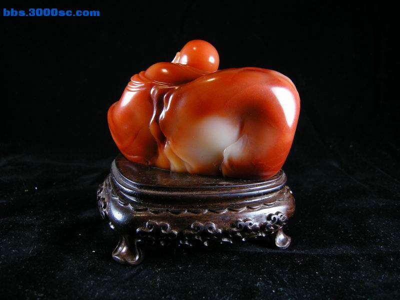 DSCN6552.JPG