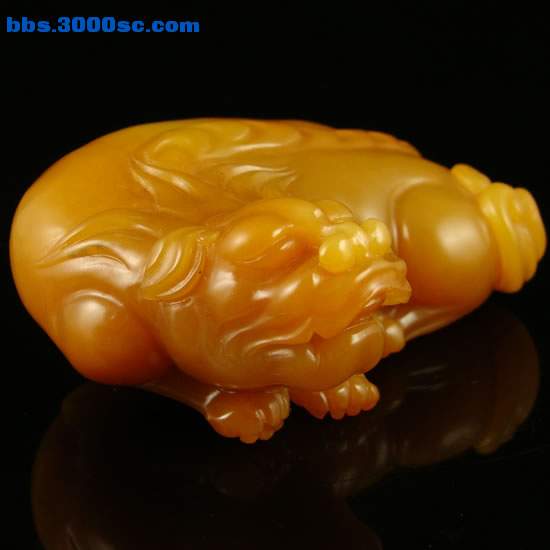 c051.jpg