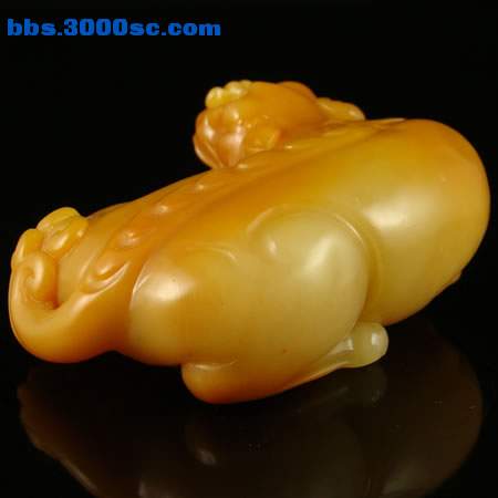 c054.jpg