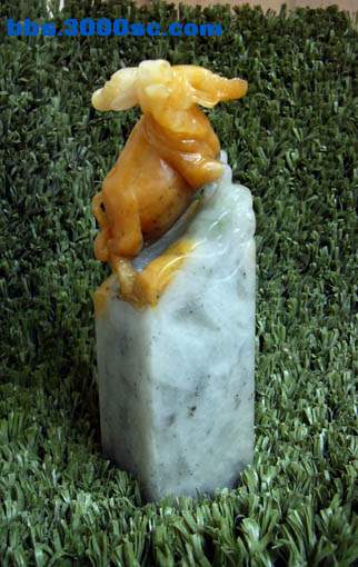 c6.jpg