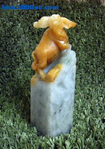 c8.jpg